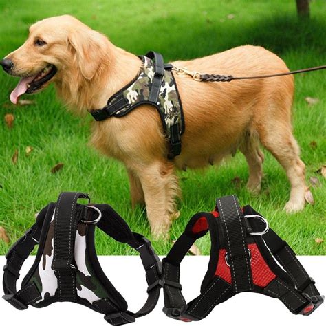 high quality pet accessories online.